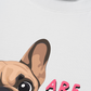 Áo Thun Relaxed Fit Bulldog Are You Gonna Eat That