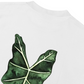 Áo Thun Relaxed Fit TROPICAL Alocasia Leaf
