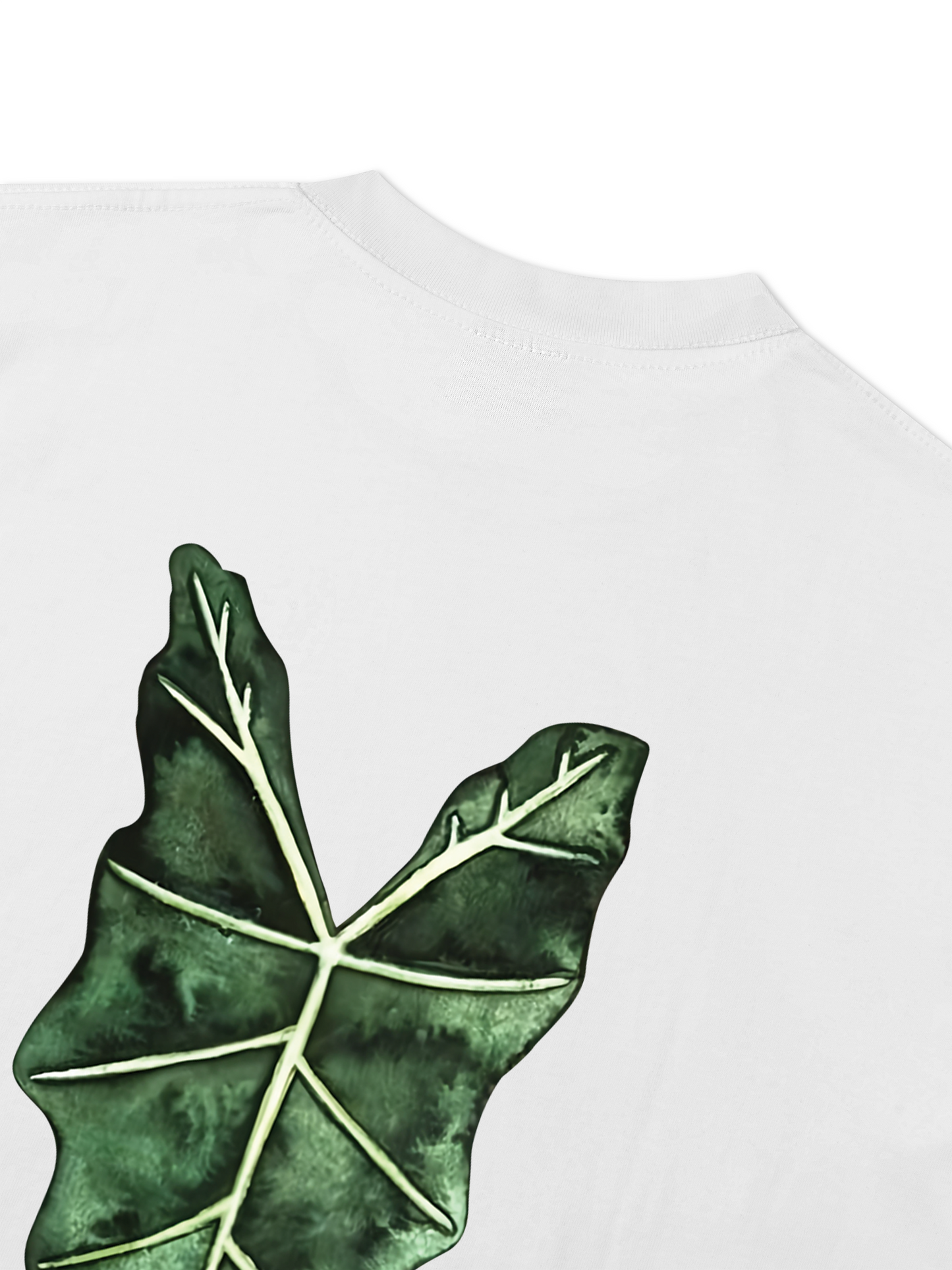Áo Thun Relaxed Fit TROPICAL Alocasia Leaf