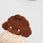 Áo Thun Relaxed Fit Brown Puppy
