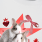 Áo Thun Relaxed Fit Daily Cuties Bunny Love Club