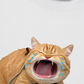 Áo Thun Relaxed Fit Animal Mood Funny Meow