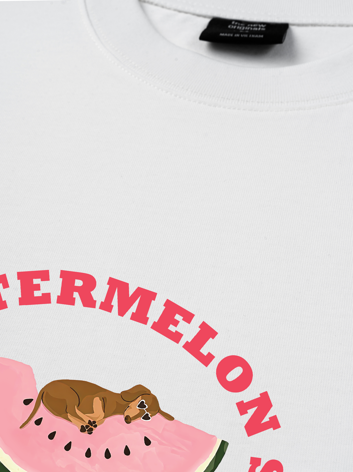 Áo Thun Relaxed Fit Summer Vibes Fresh Watermelon Summer