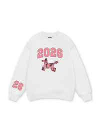 Color Drift Pony Sweater