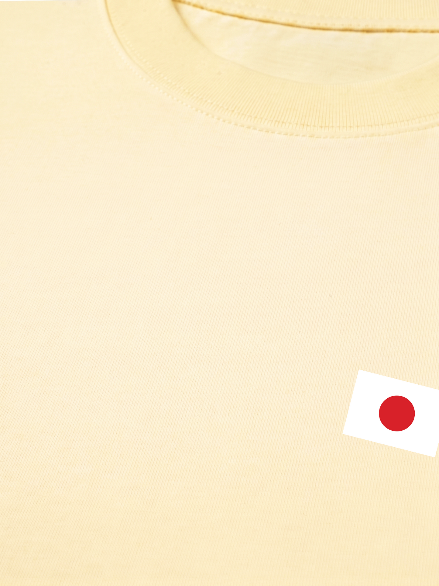 Áo Thun Relaxed Fit Tokyo Flag
