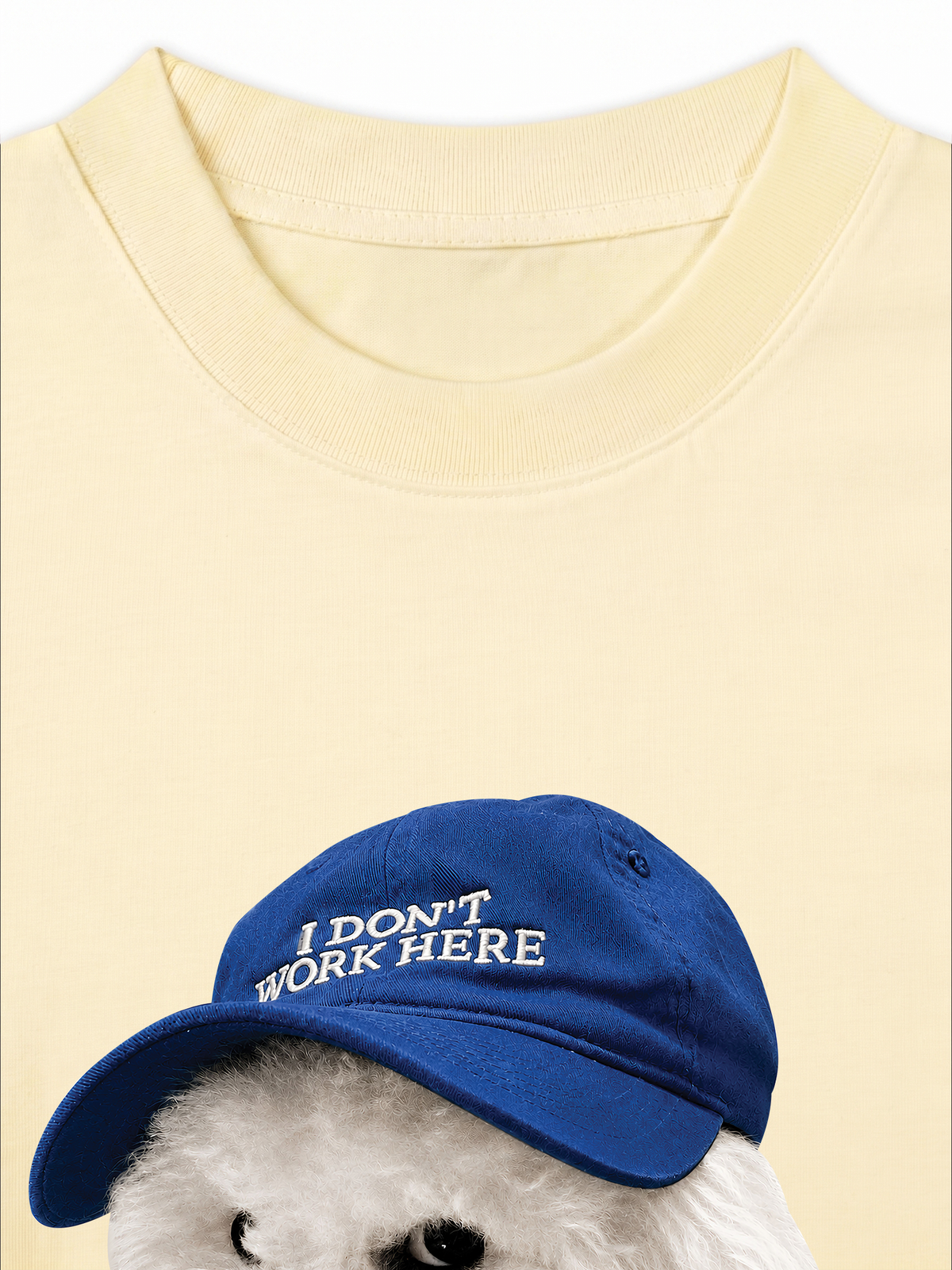 Áo Thun Relaxed Fit Puppy With Blue Hat
