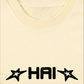 Áo Thun Relaxed Fit 16 - HaiPhonger