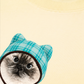 Áo Thun Relaxed Fit Working O'ttreats Blue Tiffany Meow