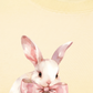 Áo Thun Relaxed Fit Have A Sweet Day