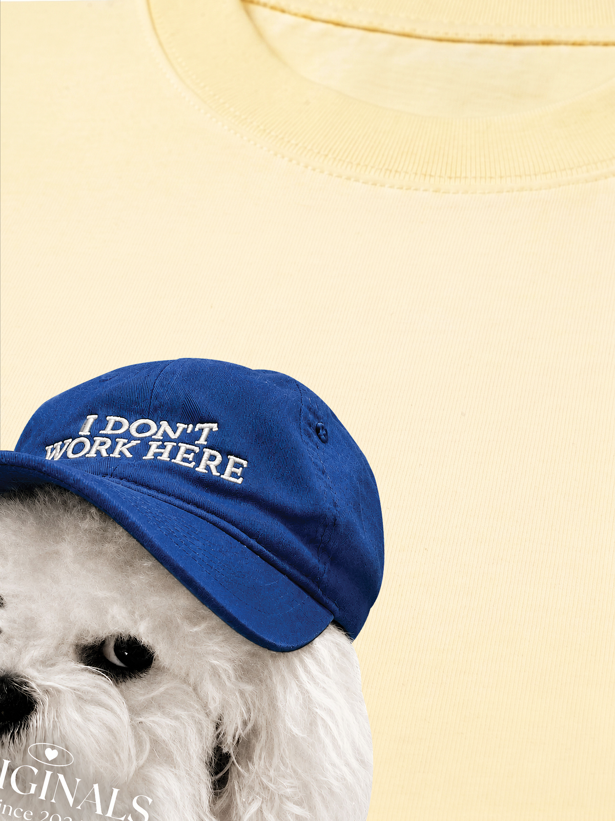 Áo Thun Relaxed Fit Puppy With Blue Hat