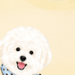 Áo Thun Relaxed Fit Cute Puppy