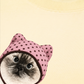 Áo Thun Relaxed Fit Working O'ttreats Pink Meow