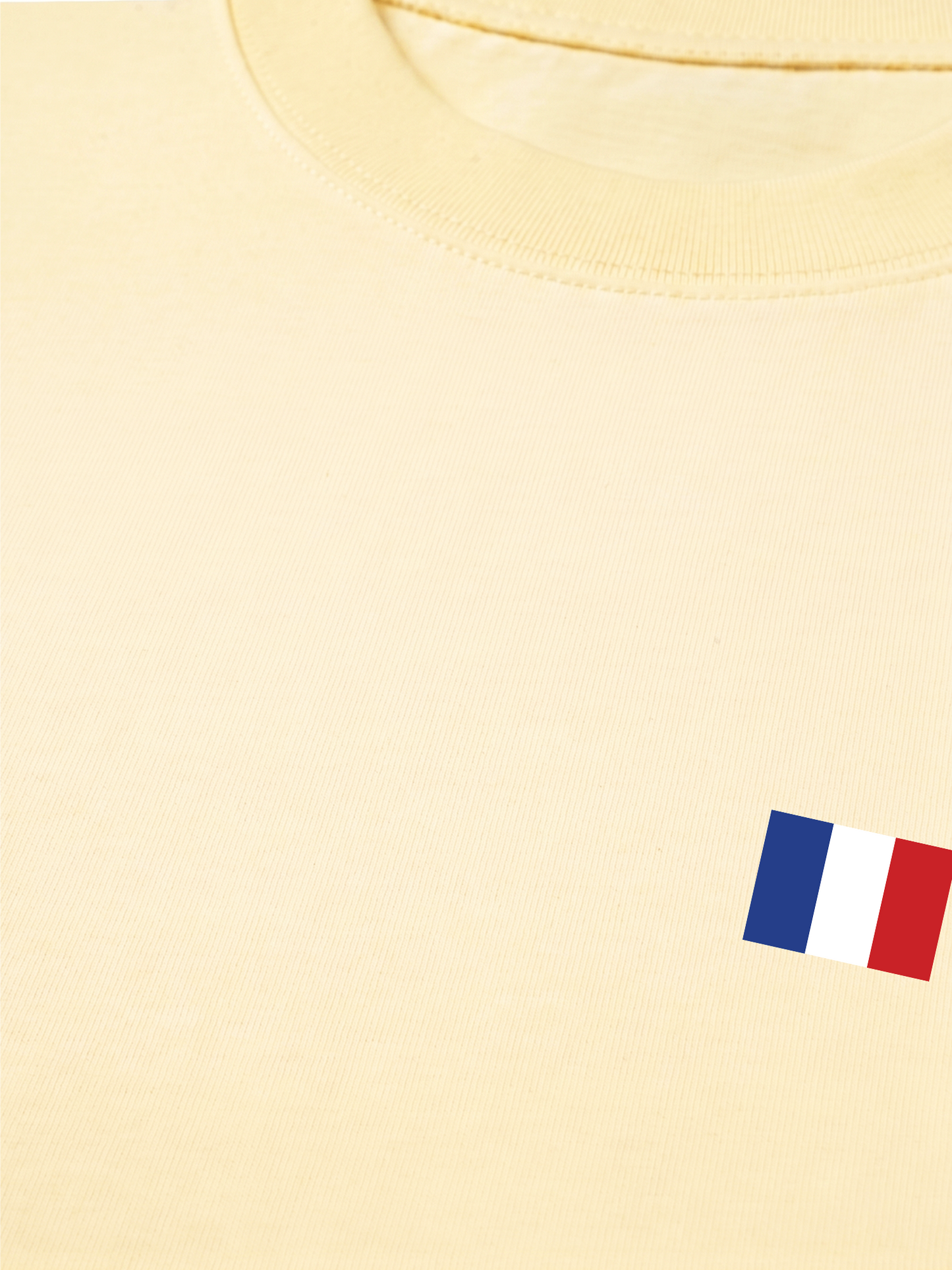 Áo Thun Relaxed Fit Paris Flag