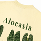 Áo Thun Relaxed Fit Tropical Alocasia Quote