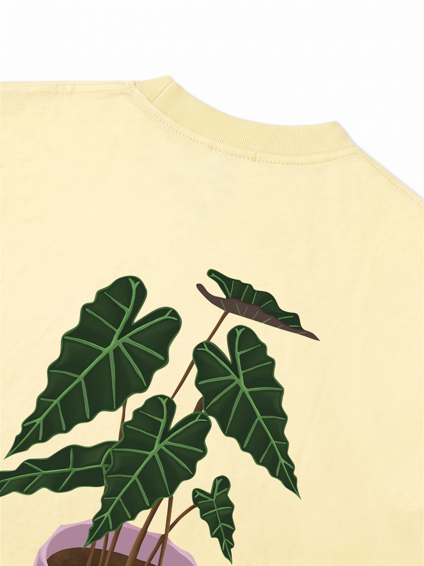 Áo Thun Relaxed Fit Tropical Alocasia