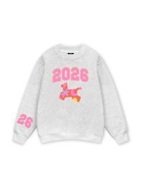 Candy Burst Pony Sweater